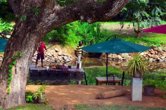 Serendib Village Guest House Negombo Esterno foto